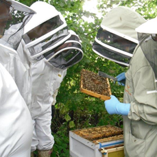 Members training at the Introduction to Beekeeping Course