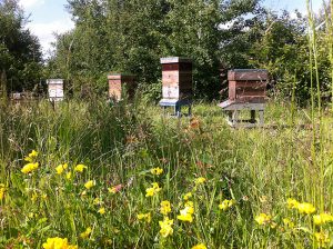 Available apiaries at WLBK