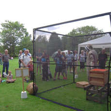 Beekeeping talks and displays for the public